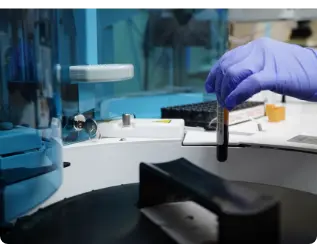 Laboratorio